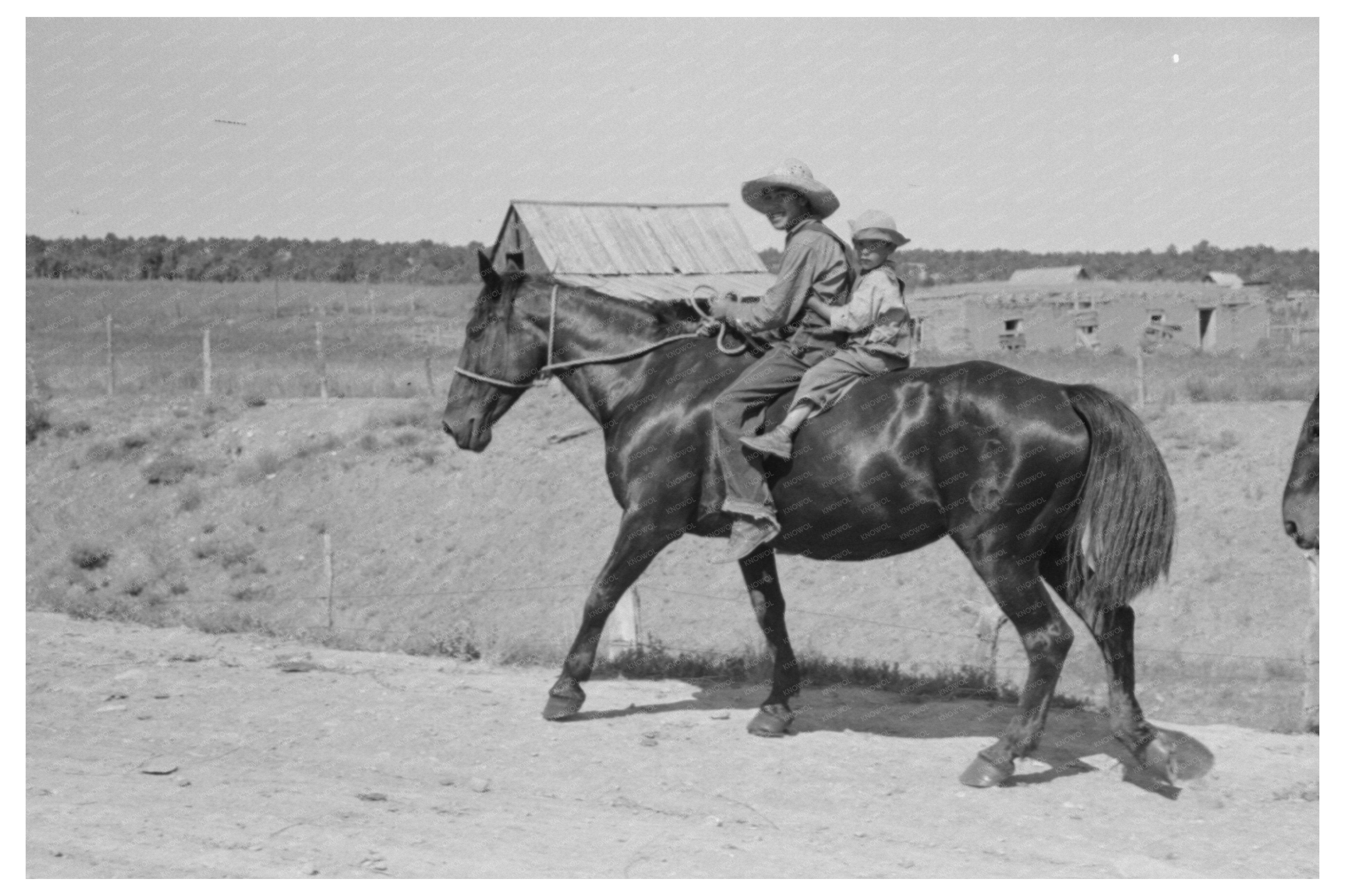 Spanish-American Boys on Horse Chamisal New Mexico 1940