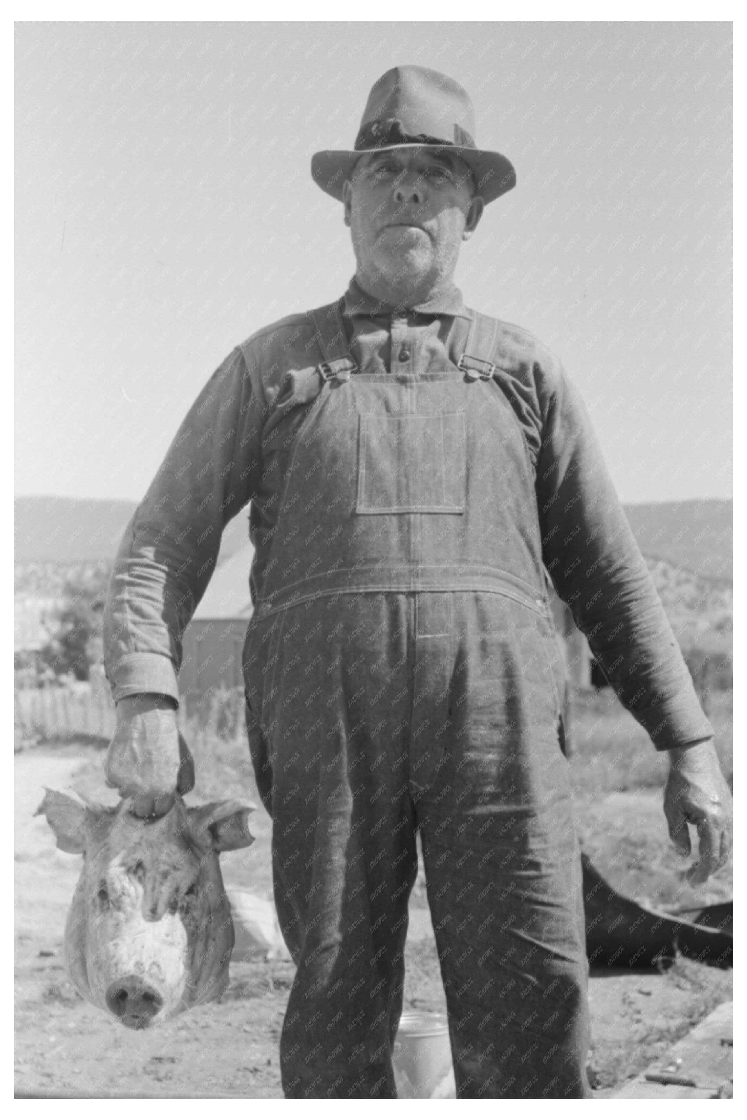 Spanish-American Farmer with Slaughtered Hog Chamisal 1940