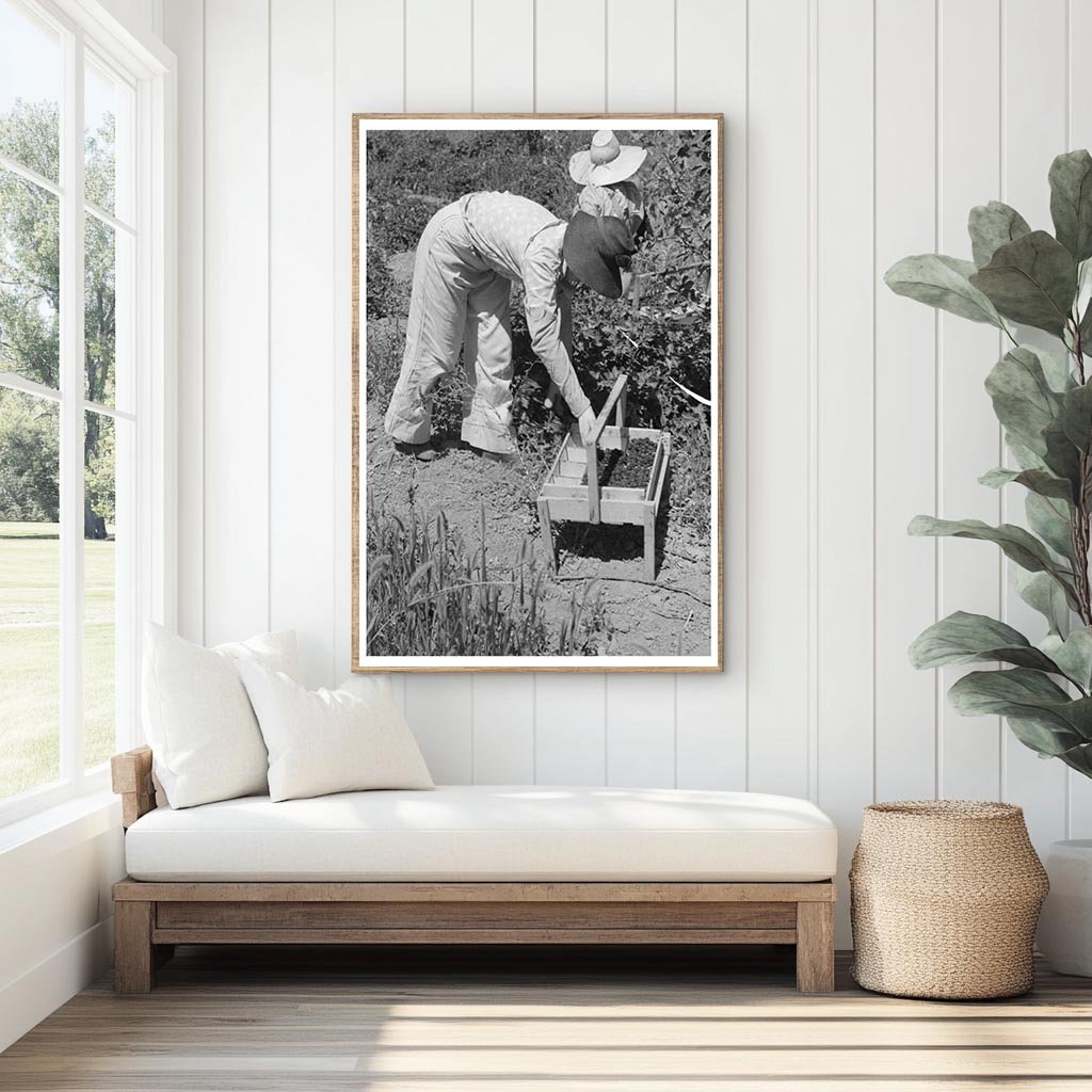 Young Girl Picking Berries in Cache County Utah 1940