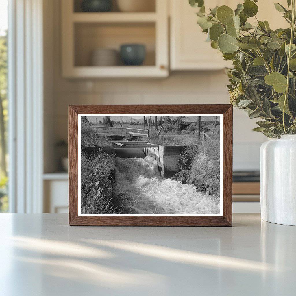 Irrigation Ditch in Box Elder County Utah July 1940