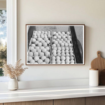 Cantaloupe Farming in Box Elder County Utah 1940