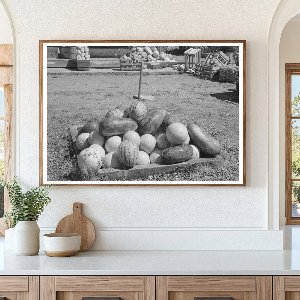 Watermelons Being Cooled with Water July 1940 Utah