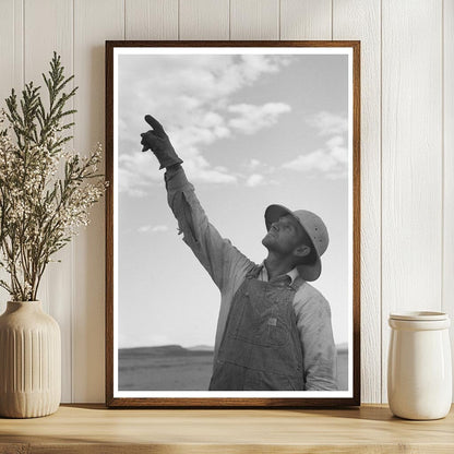 Mormon Farmer Using Cooperative Drill Idaho July 1940