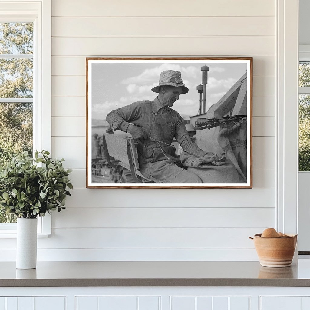 Mormon Farmer Bagging Wheat in Idaho July 1940