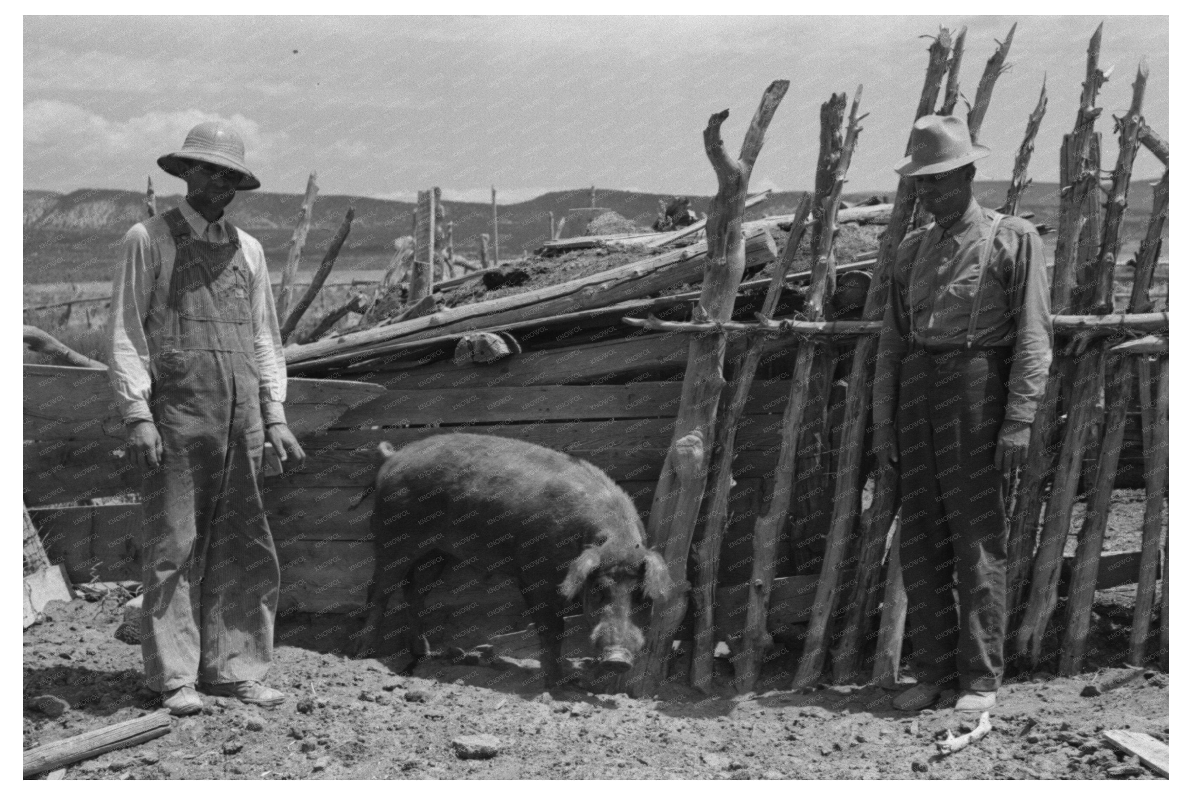 FSA Cooperative Boar Box Elder County Utah 1940