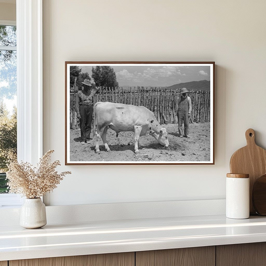 Cooperative Bull in Box Elder County Utah 1940