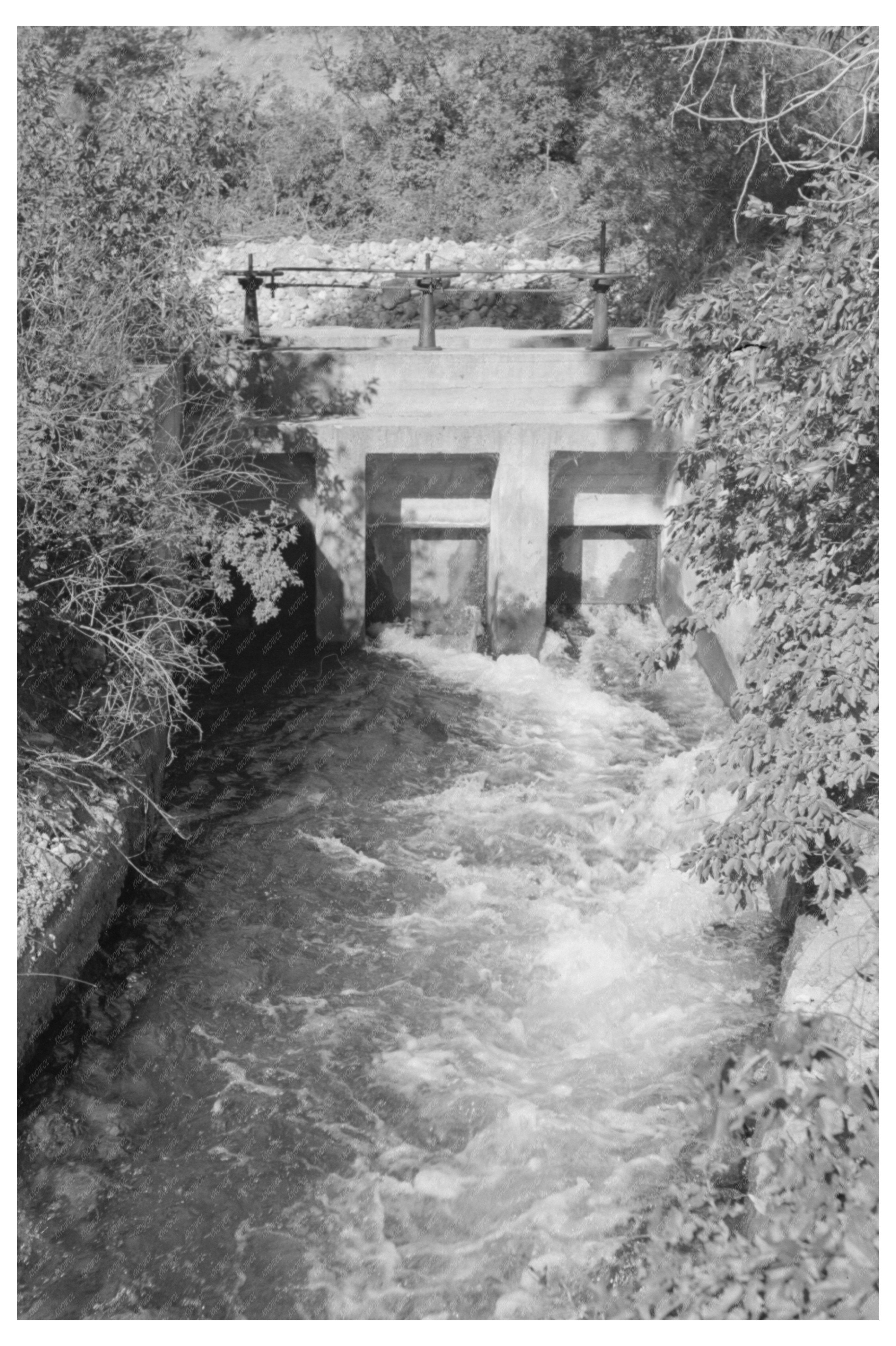 Irrigation Ditch Logan River Cache County Utah 1940