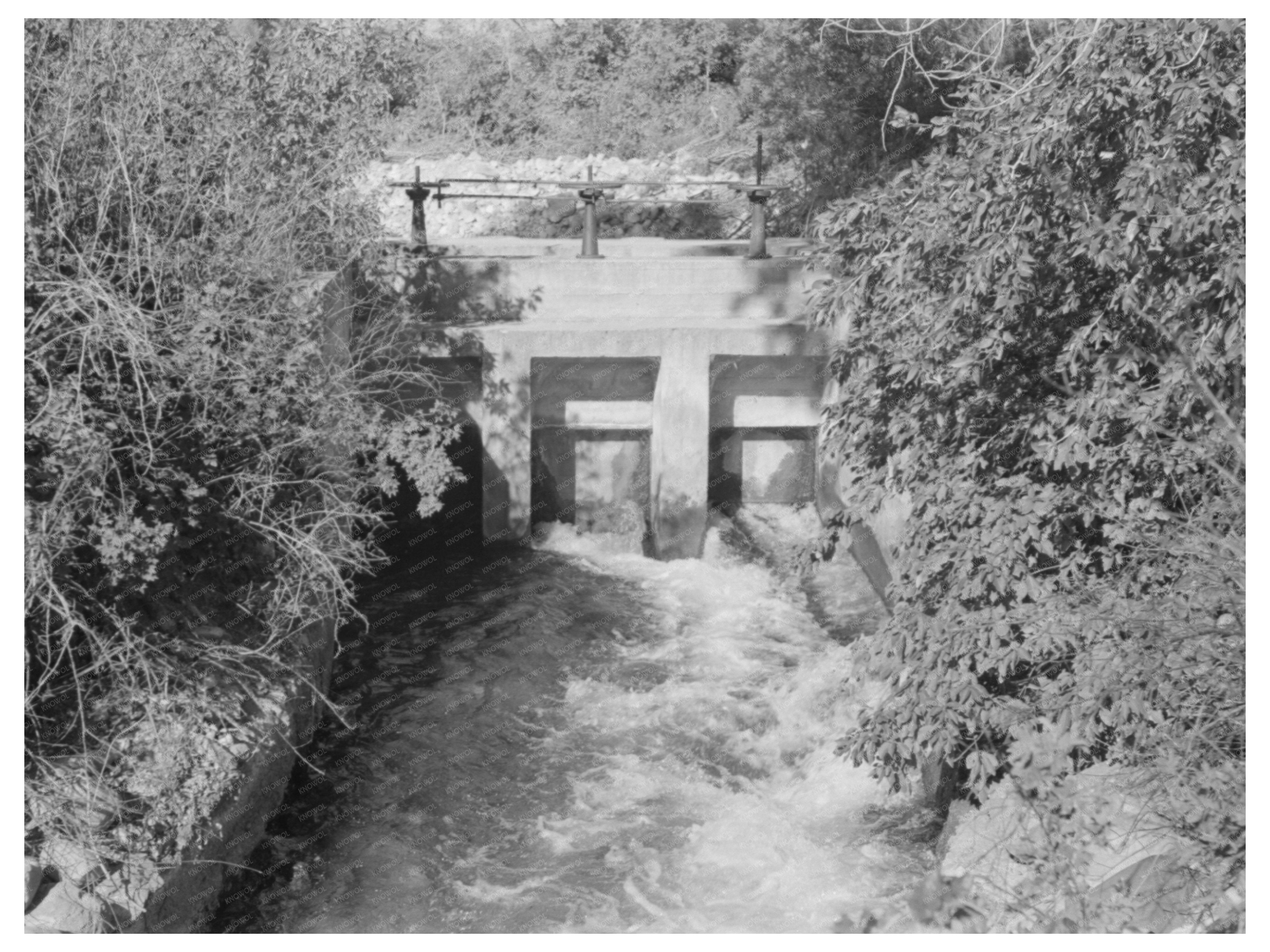 Irrigation Ditch on Logan River Utah 1940