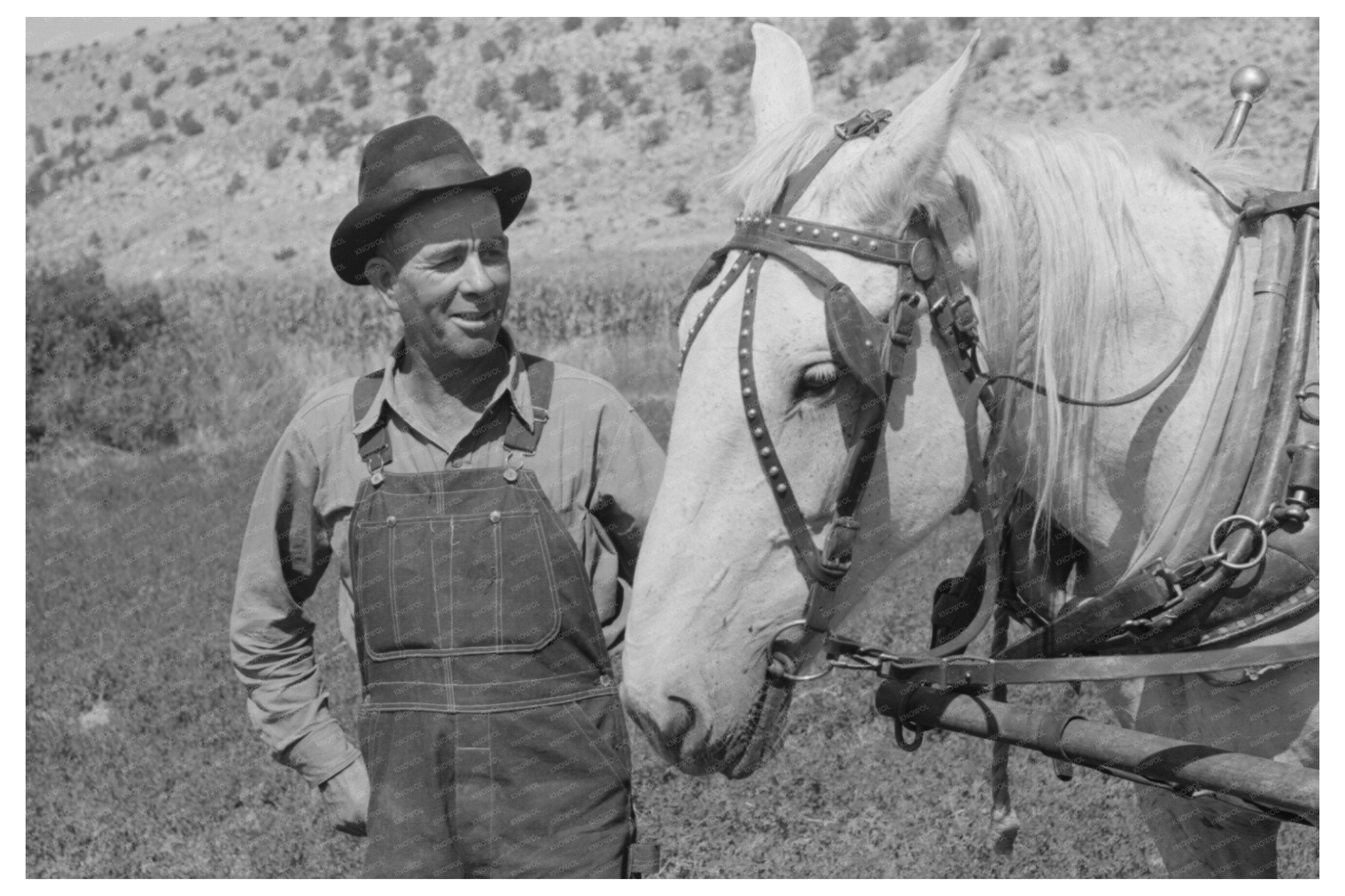 Mormon Farmer in Box Elder County Utah July 1940