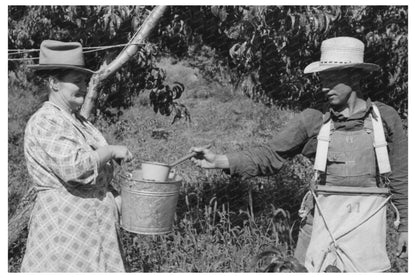 Peach Pickers in Delta County Colorado September 1940