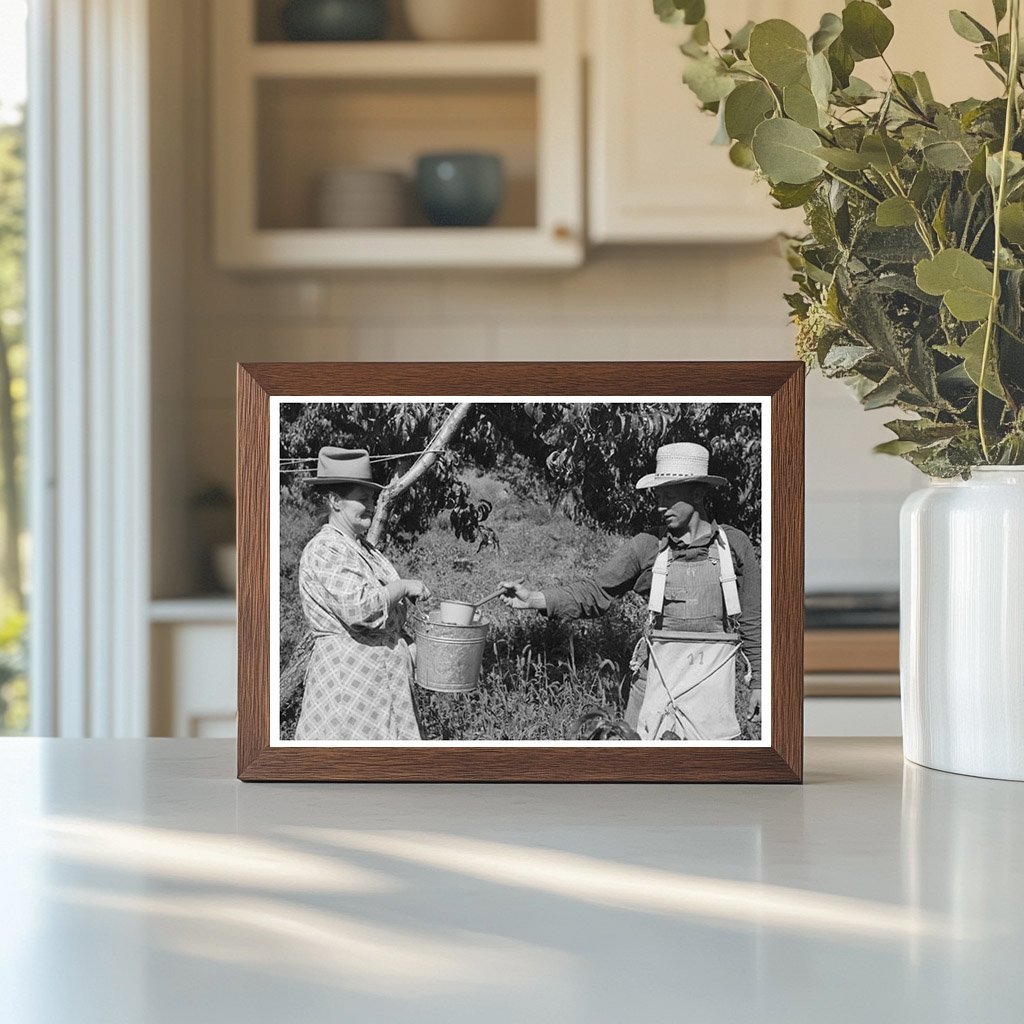 Peach Pickers in Delta County Colorado September 1940