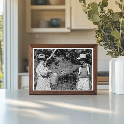 Peach Pickers in Delta County Colorado September 1940