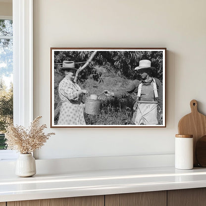 Peach Pickers in Delta County Colorado September 1940