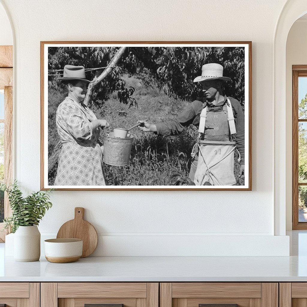 Peach Pickers in Delta County Colorado September 1940