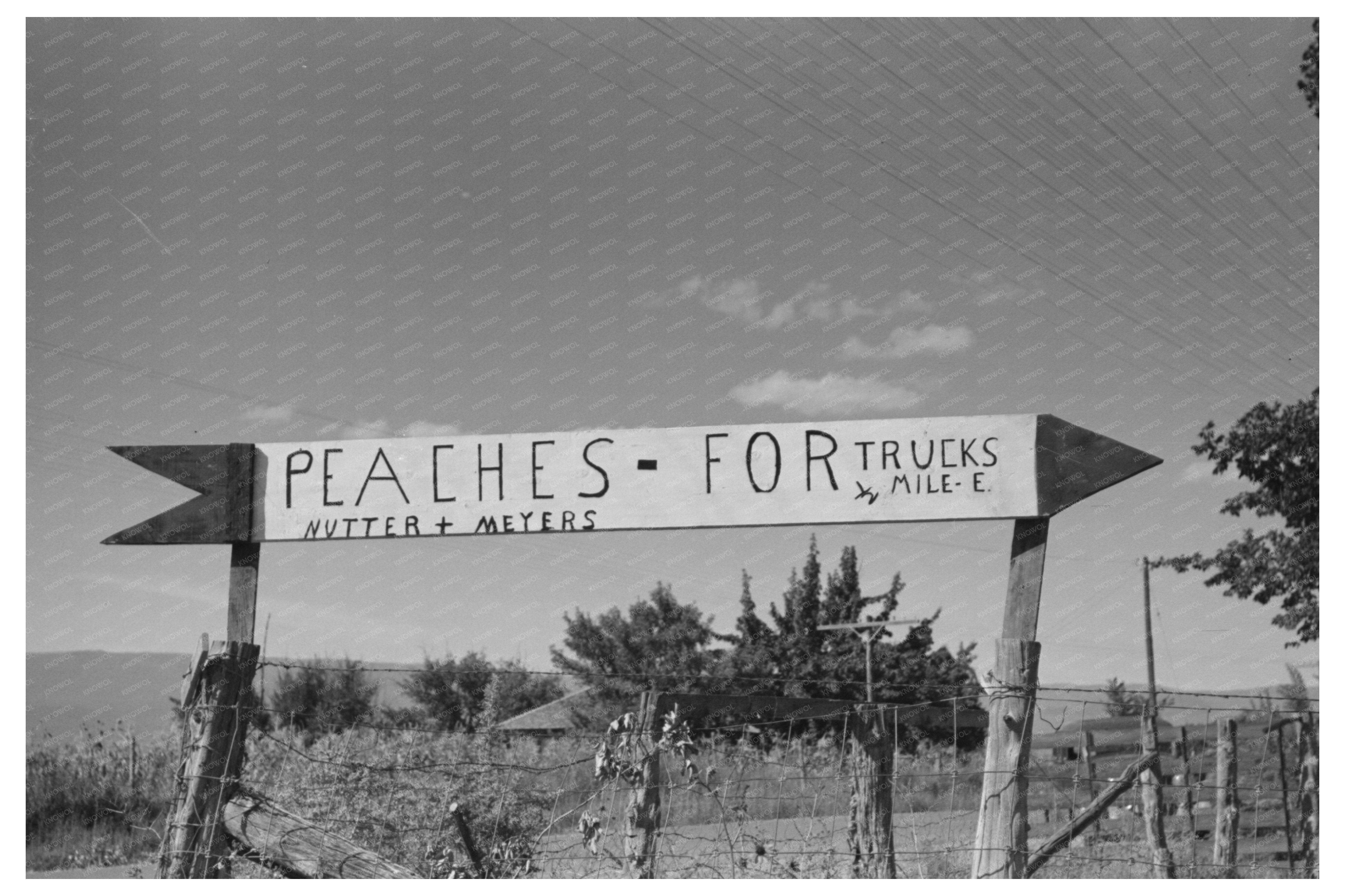 Delta County Colorado Roadside Sign for Independent Truckers 1940