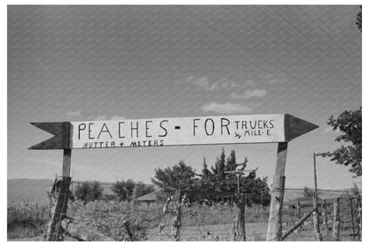 Delta County Colorado Roadside Sign for Independent Truckers 1940
