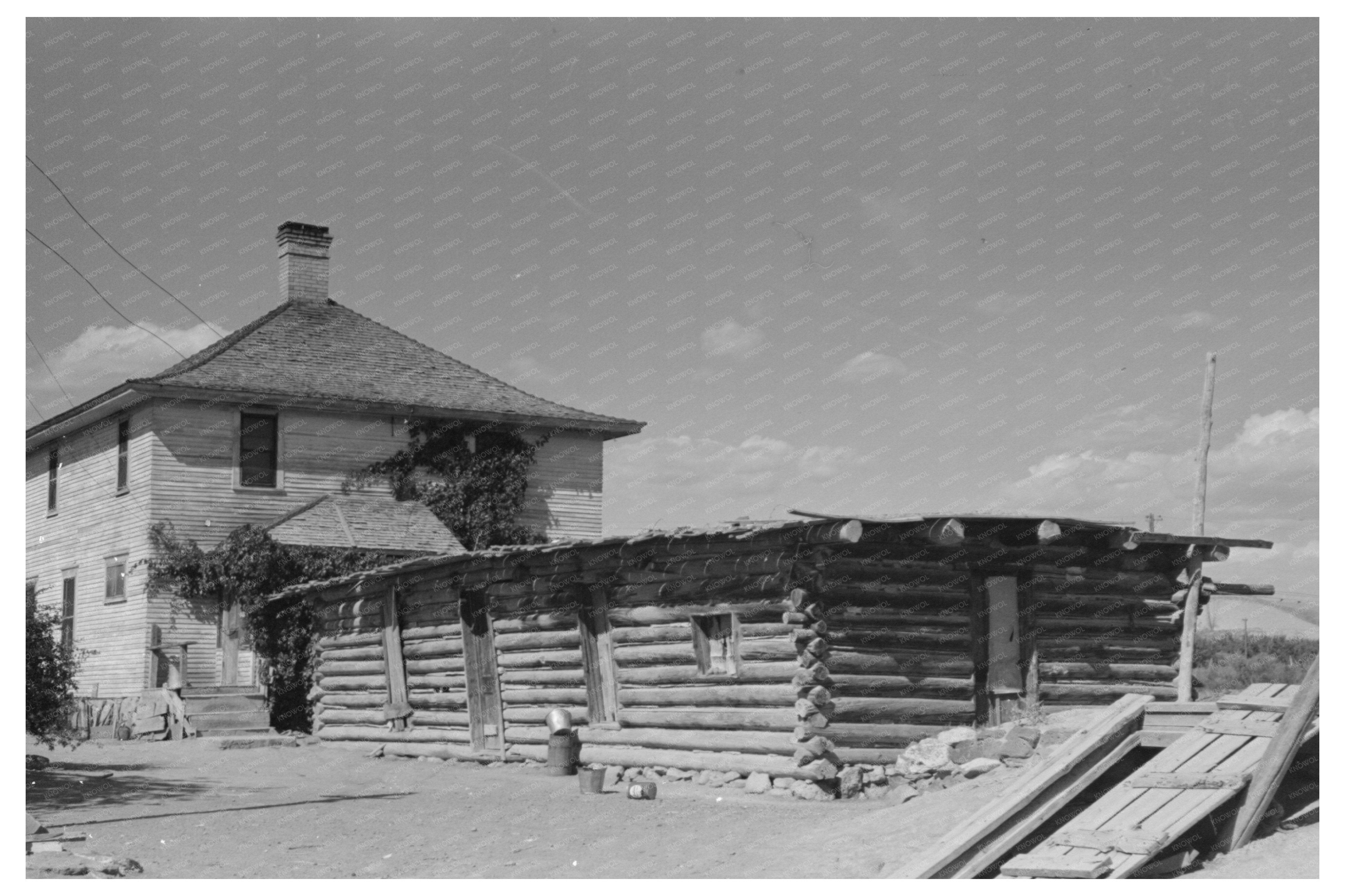 Delta County Colorado Peach Farm 1940 Vintage Image