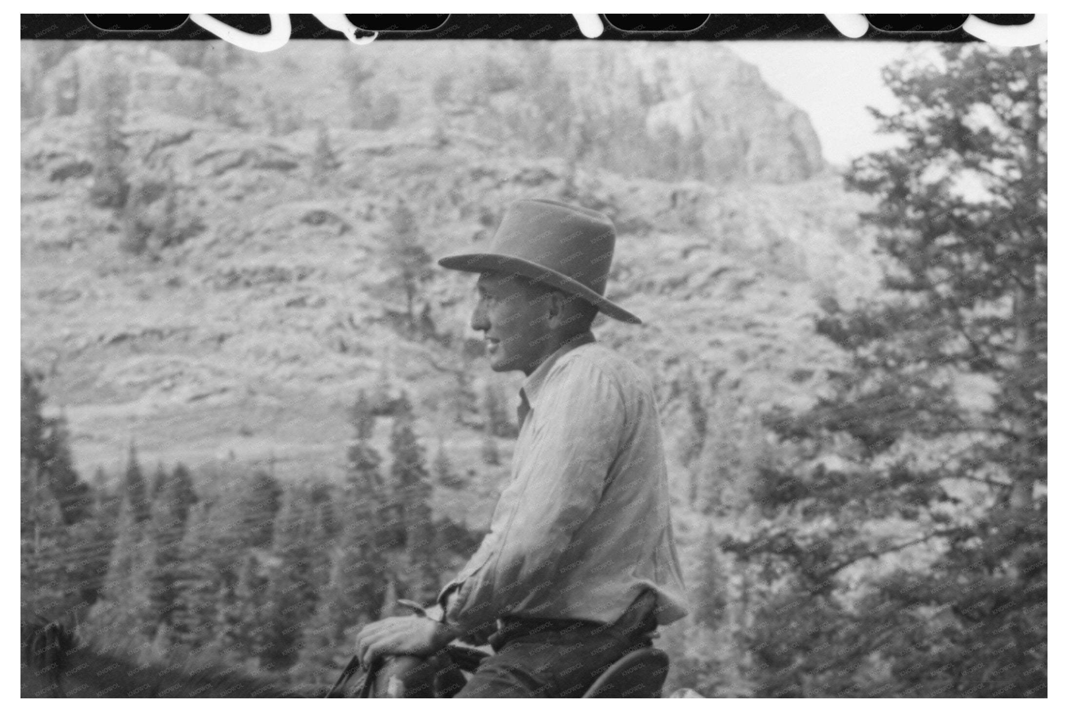 Sheepherder on Horse in Ouray County Colorado 1940