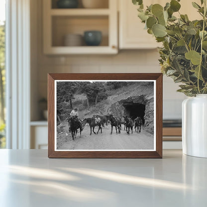 Sheepherders Transitioning Camp Ouray County Colorado 1940