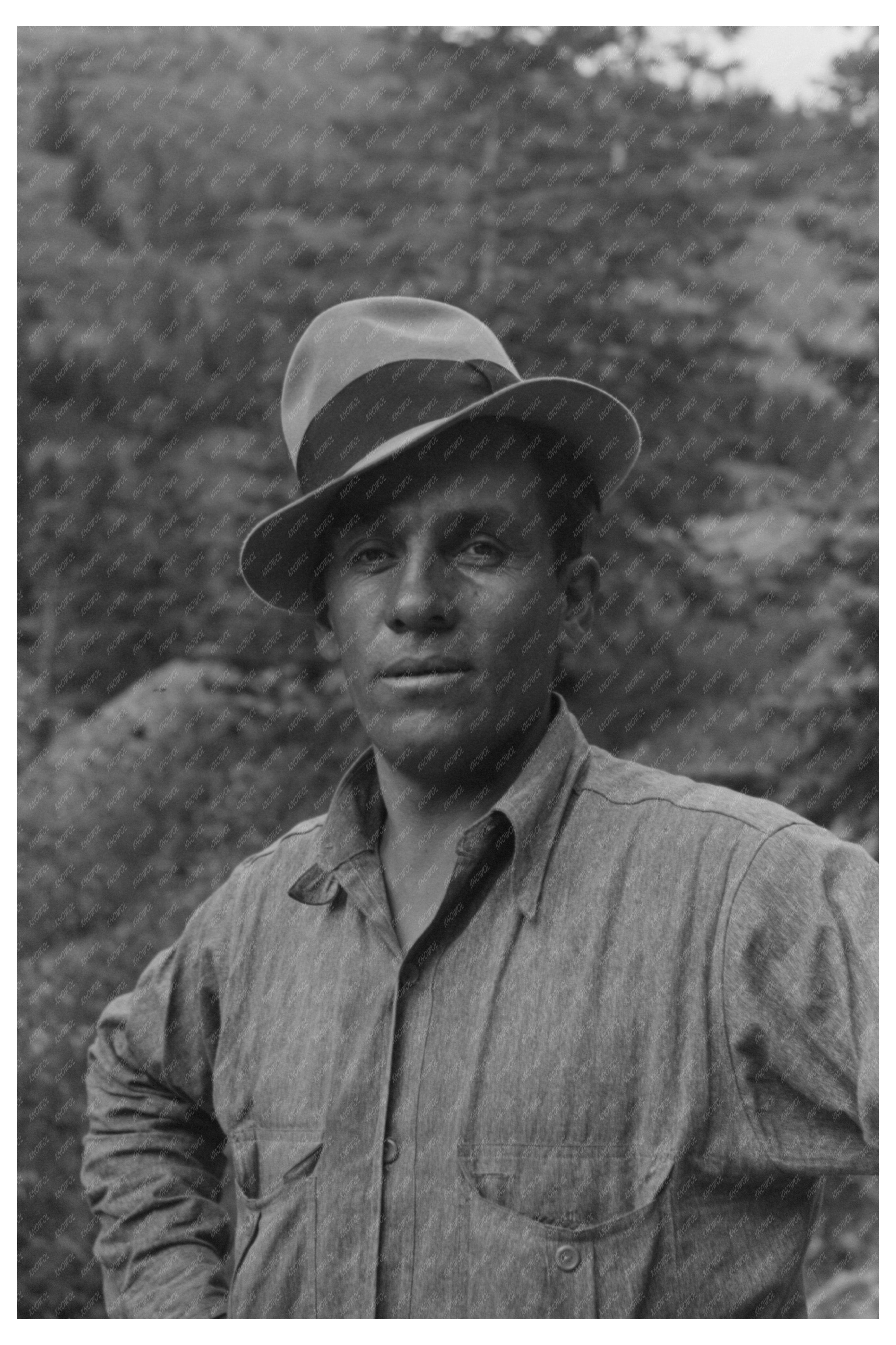 Sheepherder in Ouray County Colorado 1940