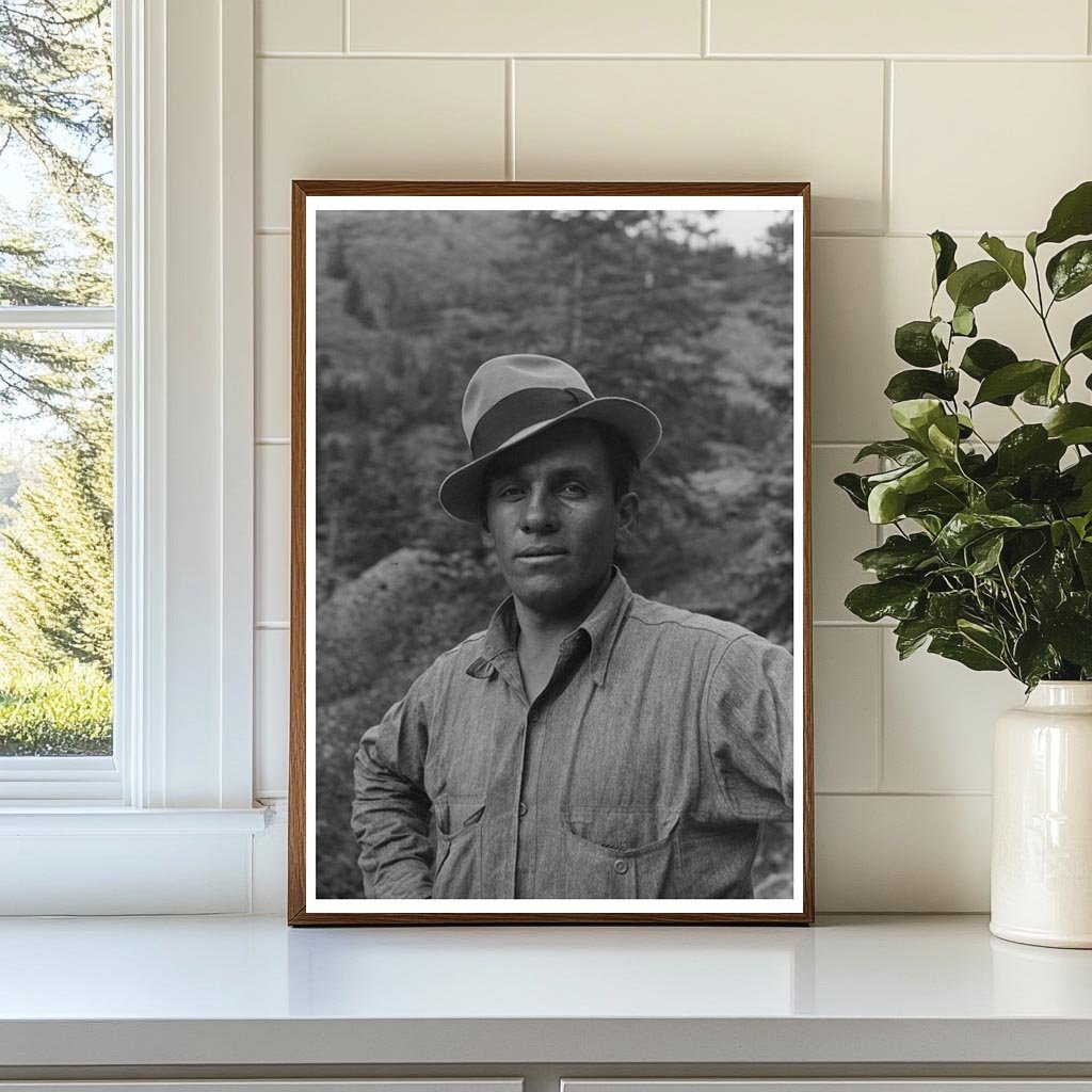 Sheepherder in Ouray County Colorado 1940