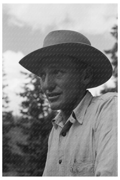 Sheepherder in Ouray County Colorado September 1940
