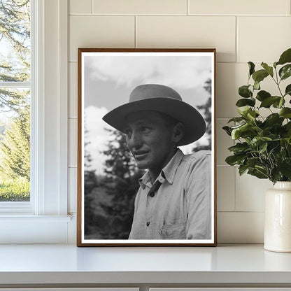 Sheepherder in Ouray County Colorado September 1940