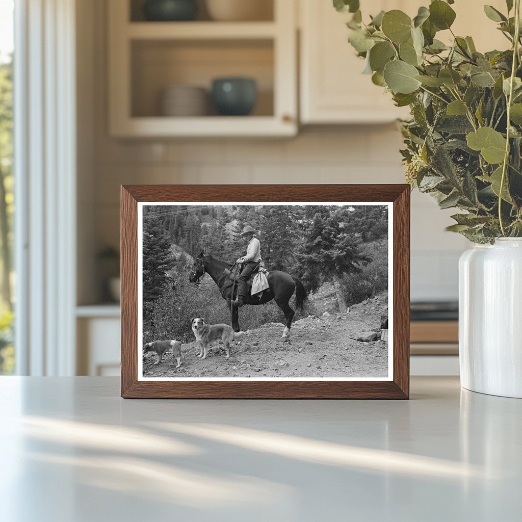 Sheepherder on Horseback Ouray County Colorado 1940