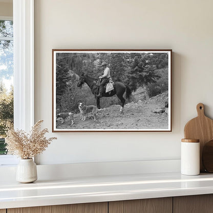 Sheepherder on Horseback Ouray County Colorado 1940