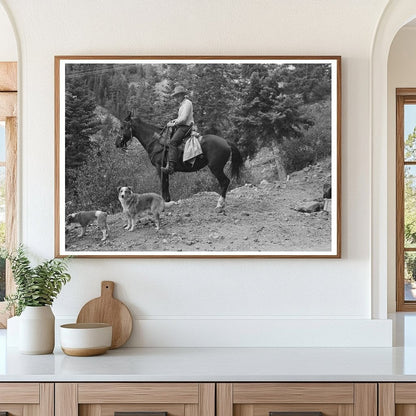 Sheepherder on Horseback Ouray County Colorado 1940