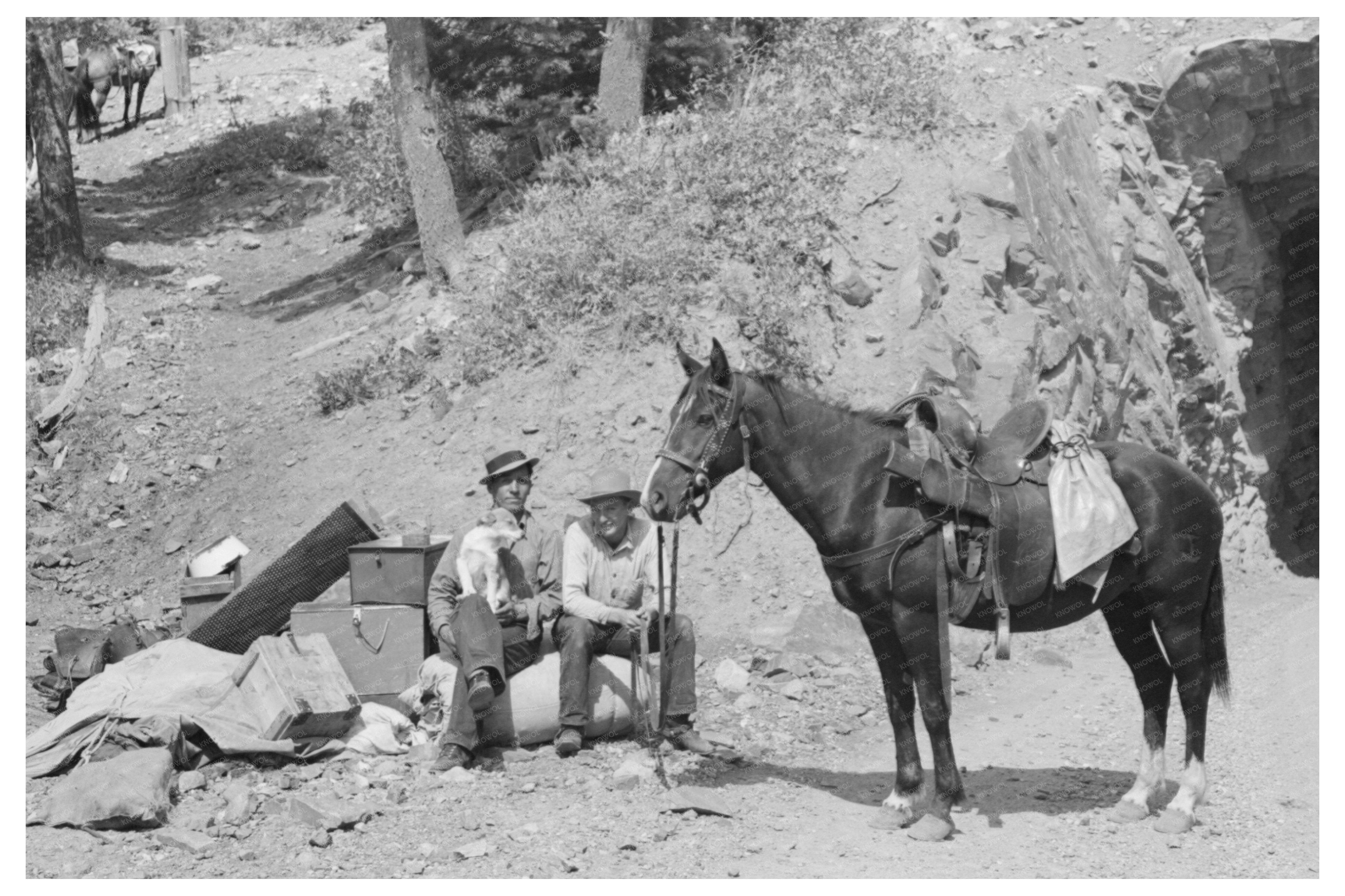Sheepherder with Horse Ouray County Colorado 1940