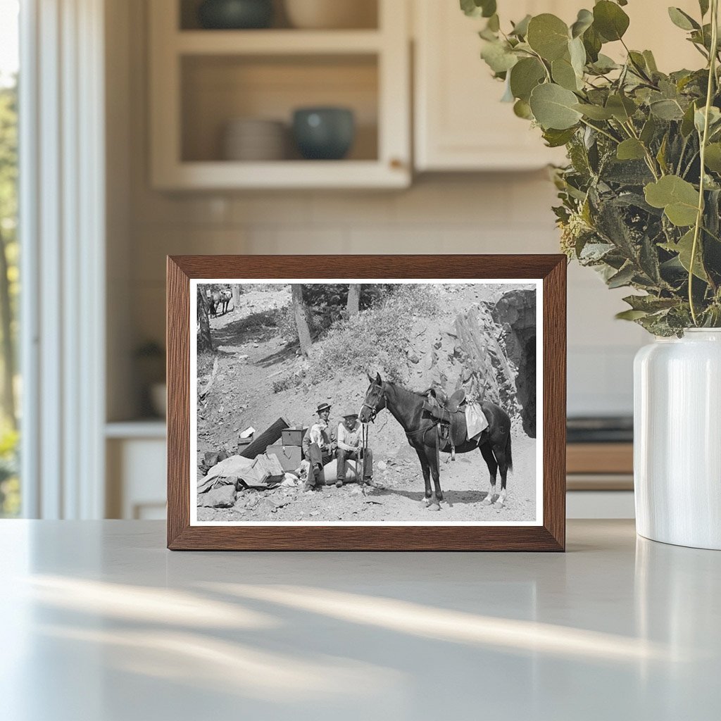 Sheepherder with Horse Ouray County Colorado 1940