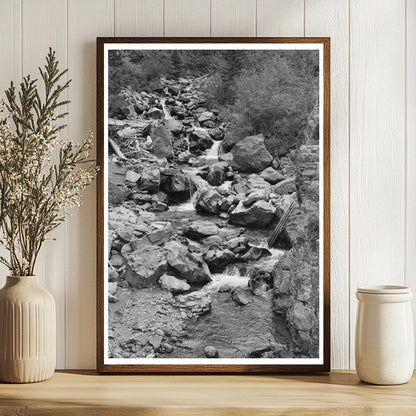 Mountain Stream in Ouray County Colorado September 1940