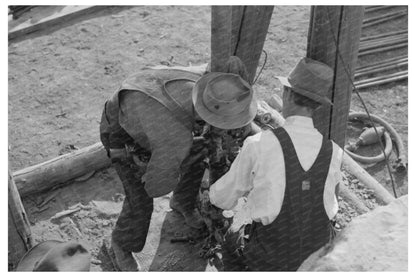Labor Day Barbecue in Ridgway Colorado 1940