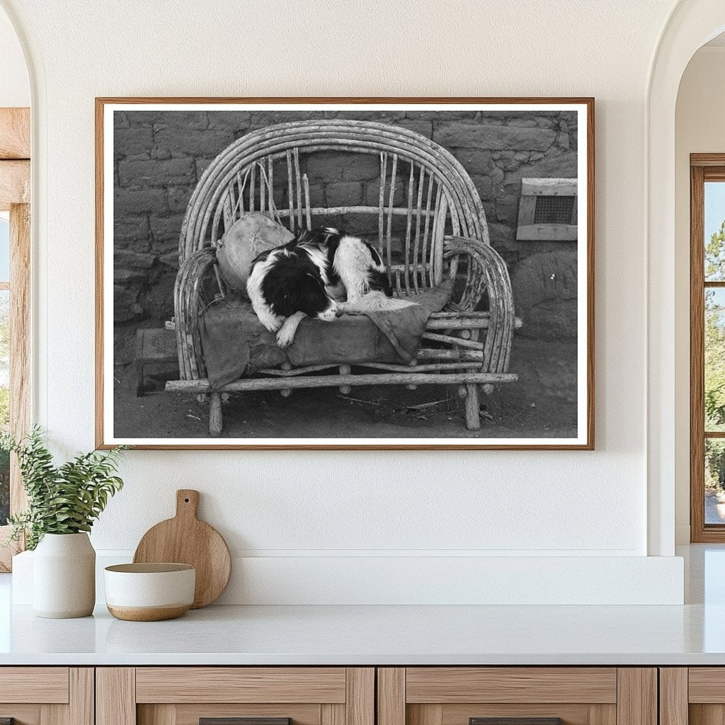 Dog on Settee at Farmhouse Concho Arizona 1940