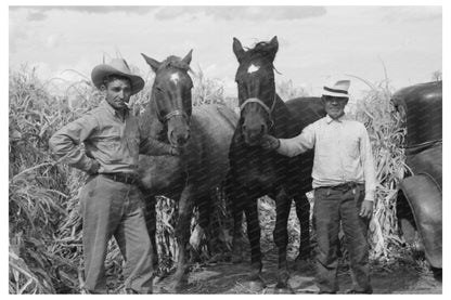 Spanish Farmer and Hired Hand with Horses Concho Arizona 1940