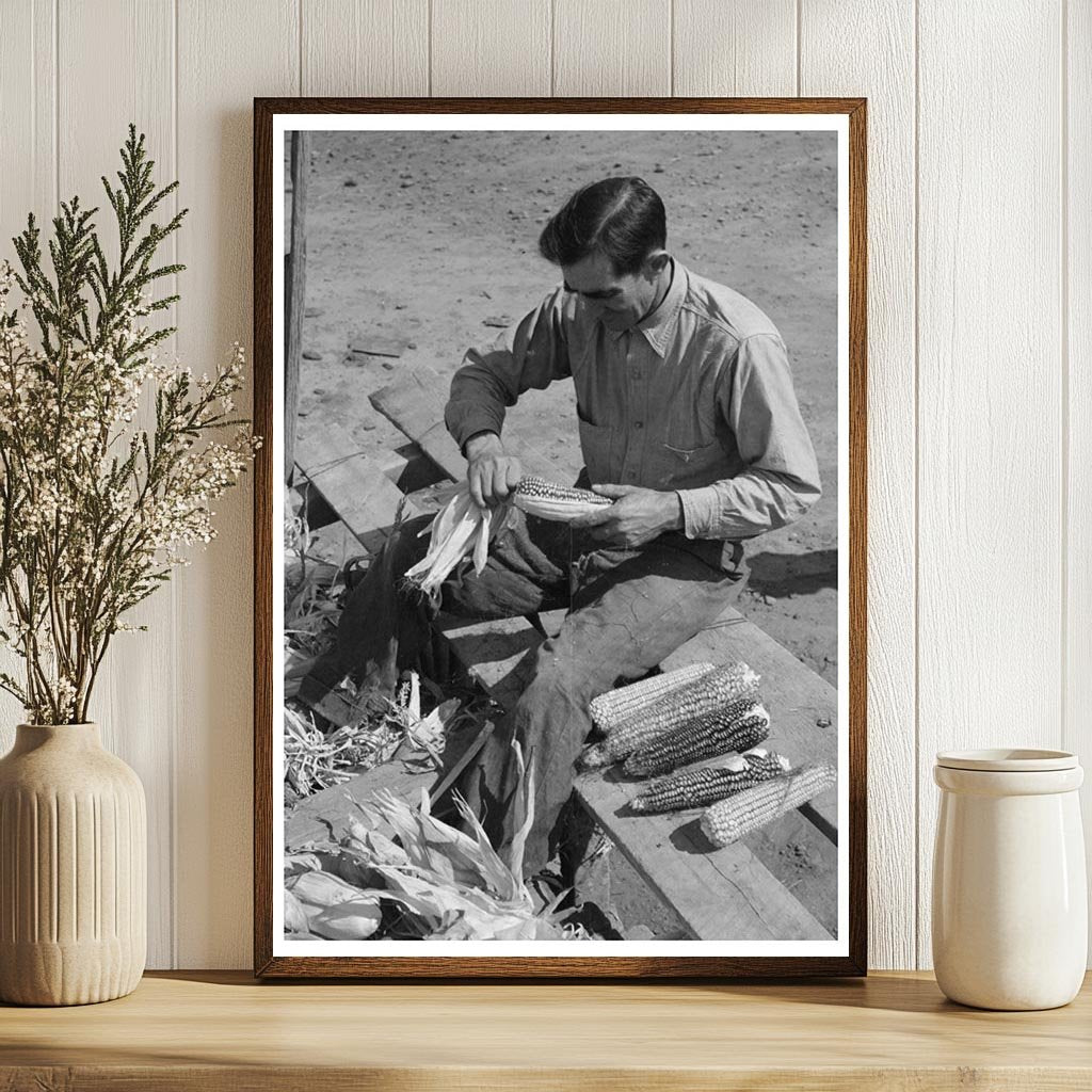 Spanish Farmer Huskings Corn Concho Arizona 1940