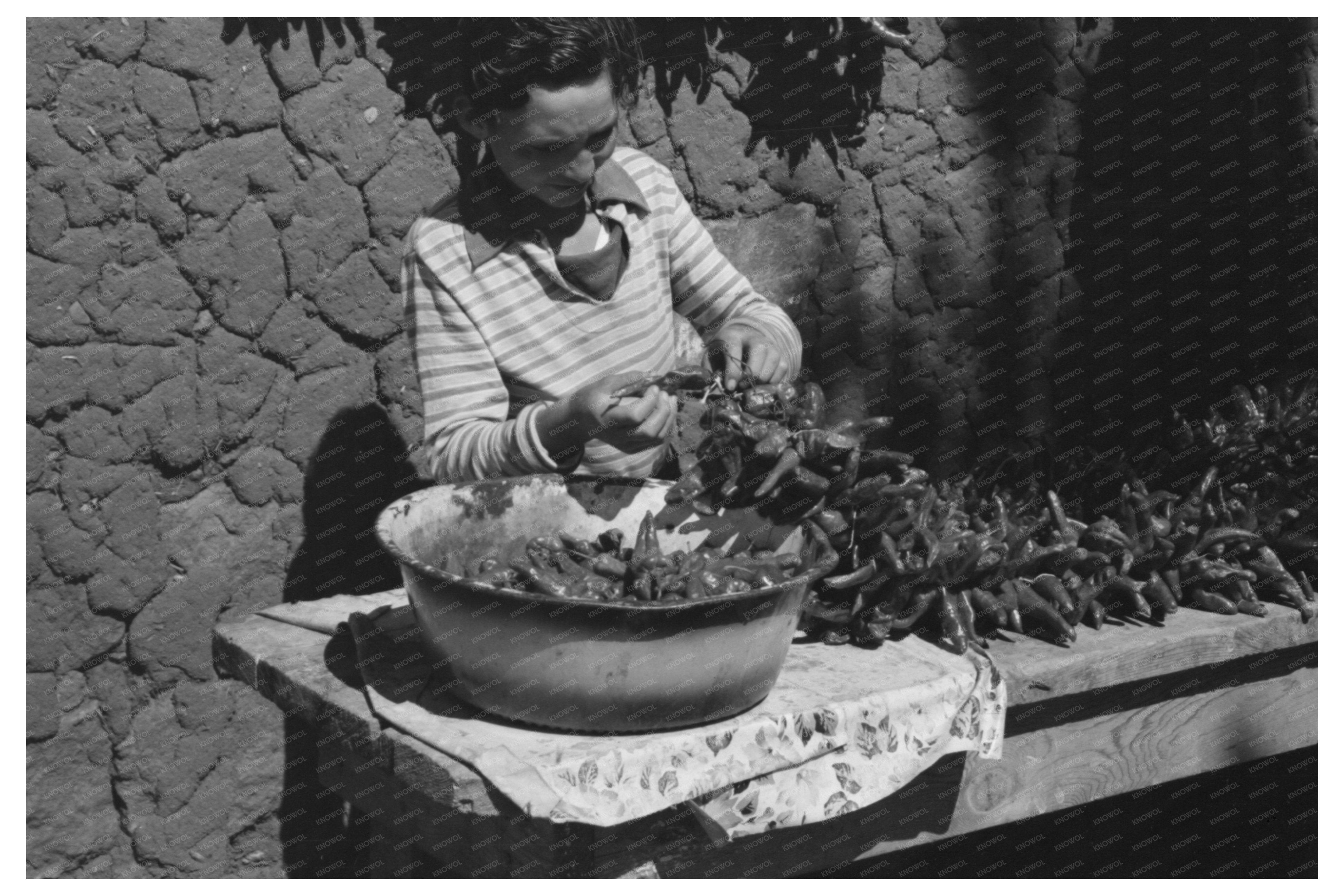 Spanish Boy Stringing Chili Peppers in Concho Arizona 1940