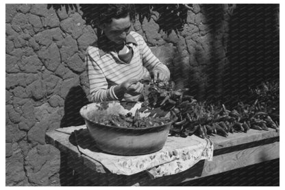 Spanish Boy Stringing Chili Peppers in Concho Arizona 1940