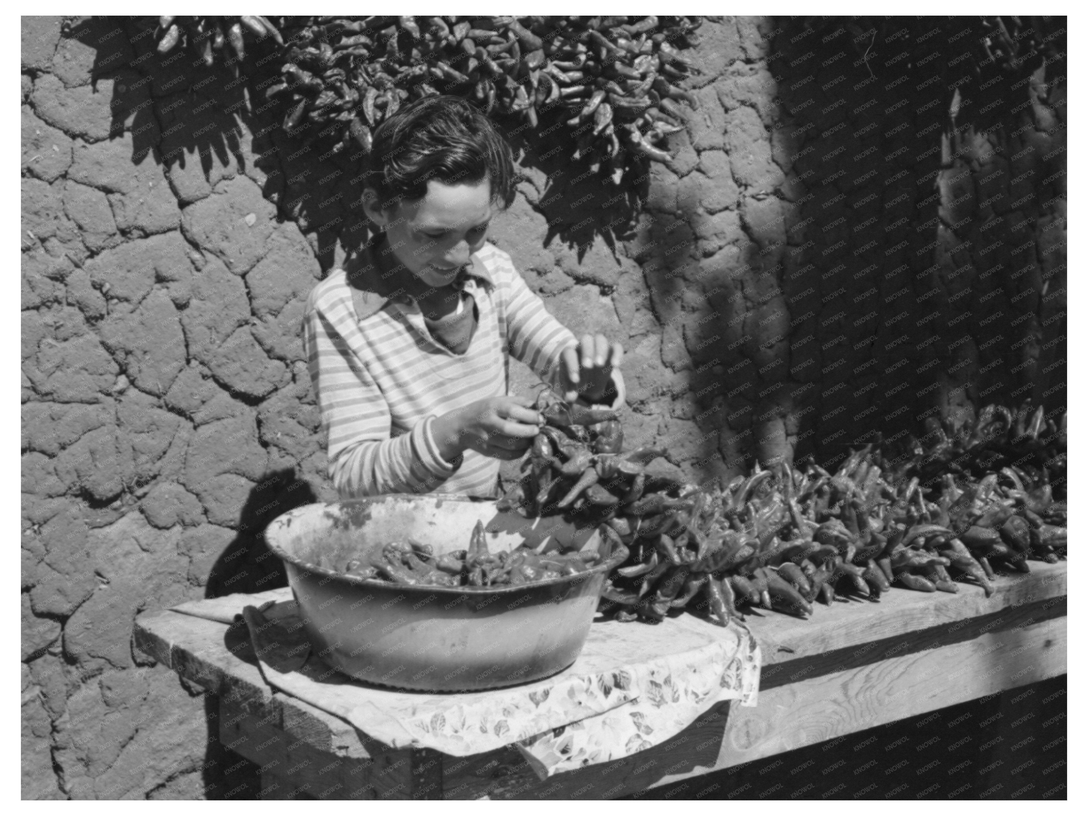 Spanish Boy Stringing Chili Peppers Concho Arizona 1940