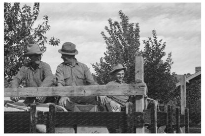 Mormon Farmers Depart for Sheep Roundup Santa Clara 1940