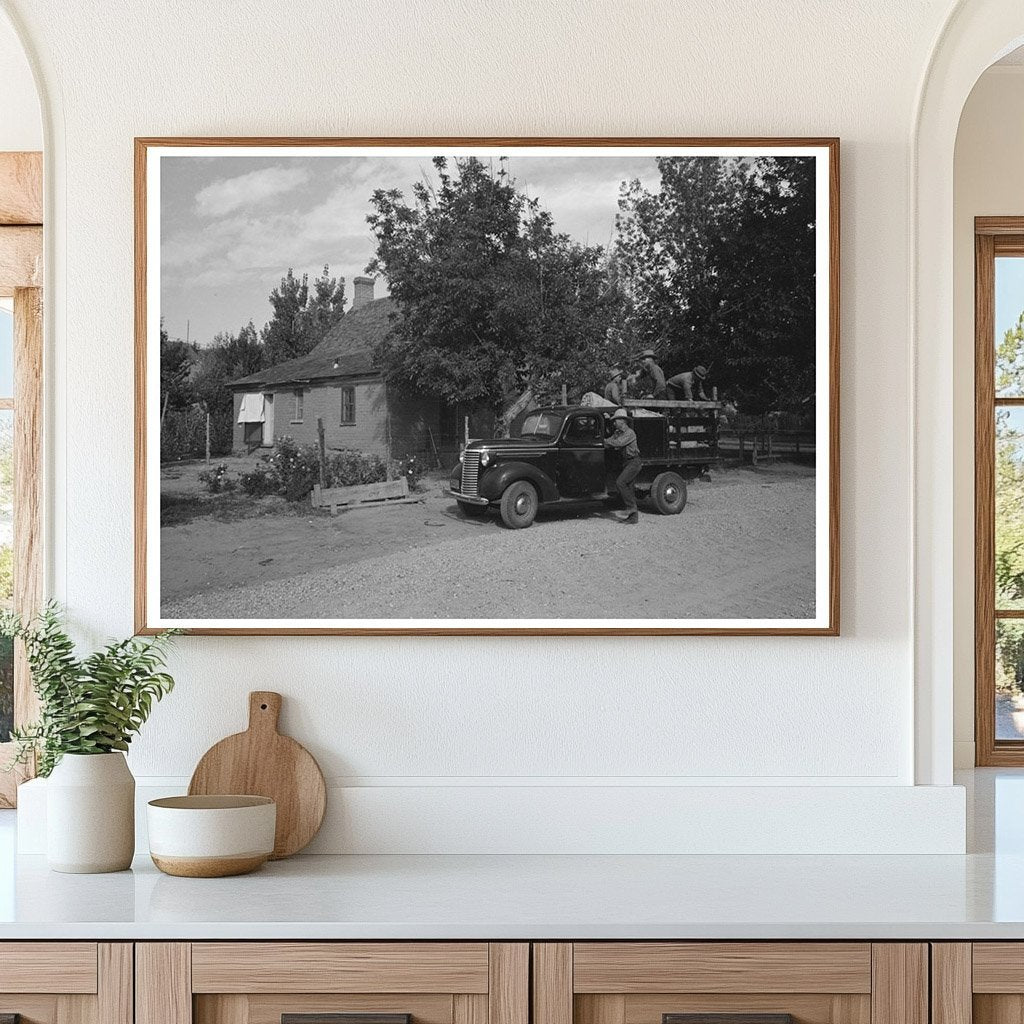 Mormon Farmers Departing for Sheep Roundup Utah 1940