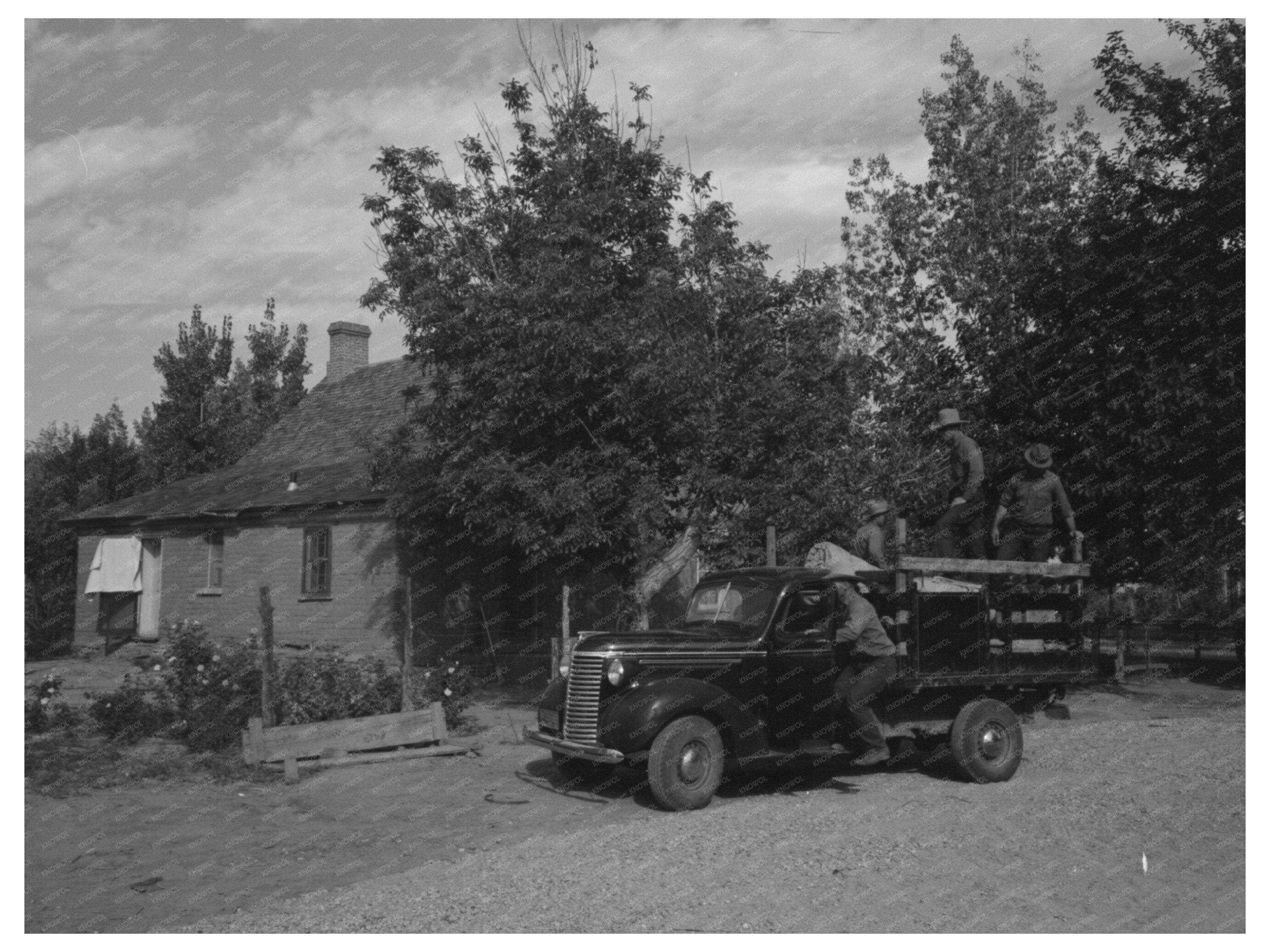 Mormon Farmers Rounding Up Sheep Santa Clara Utah 1940