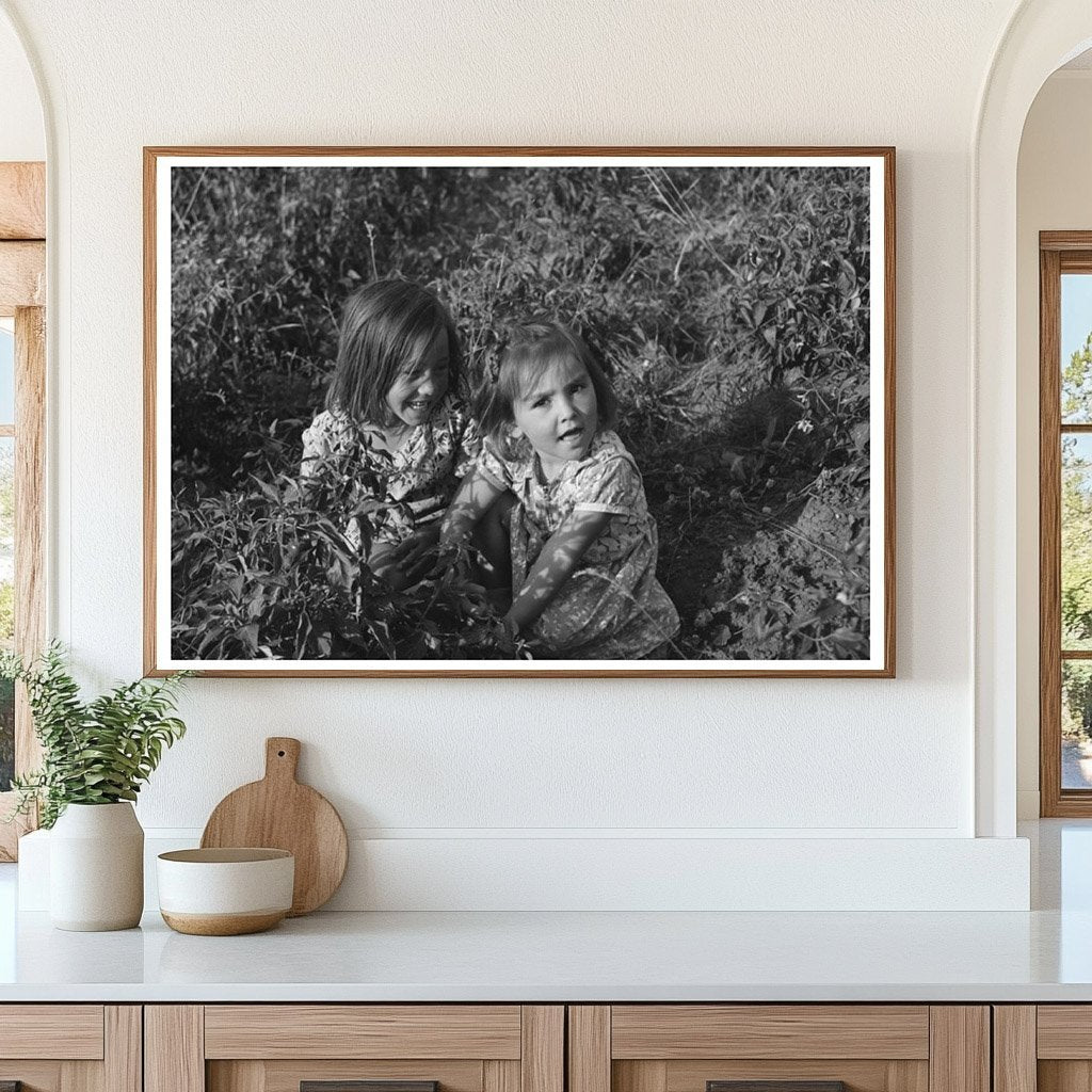 Children Harvesting Chili Peppers in Concho Arizona 1944