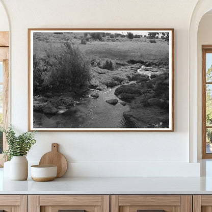 Irrigation Infrastructure in Concho Arizona 1940