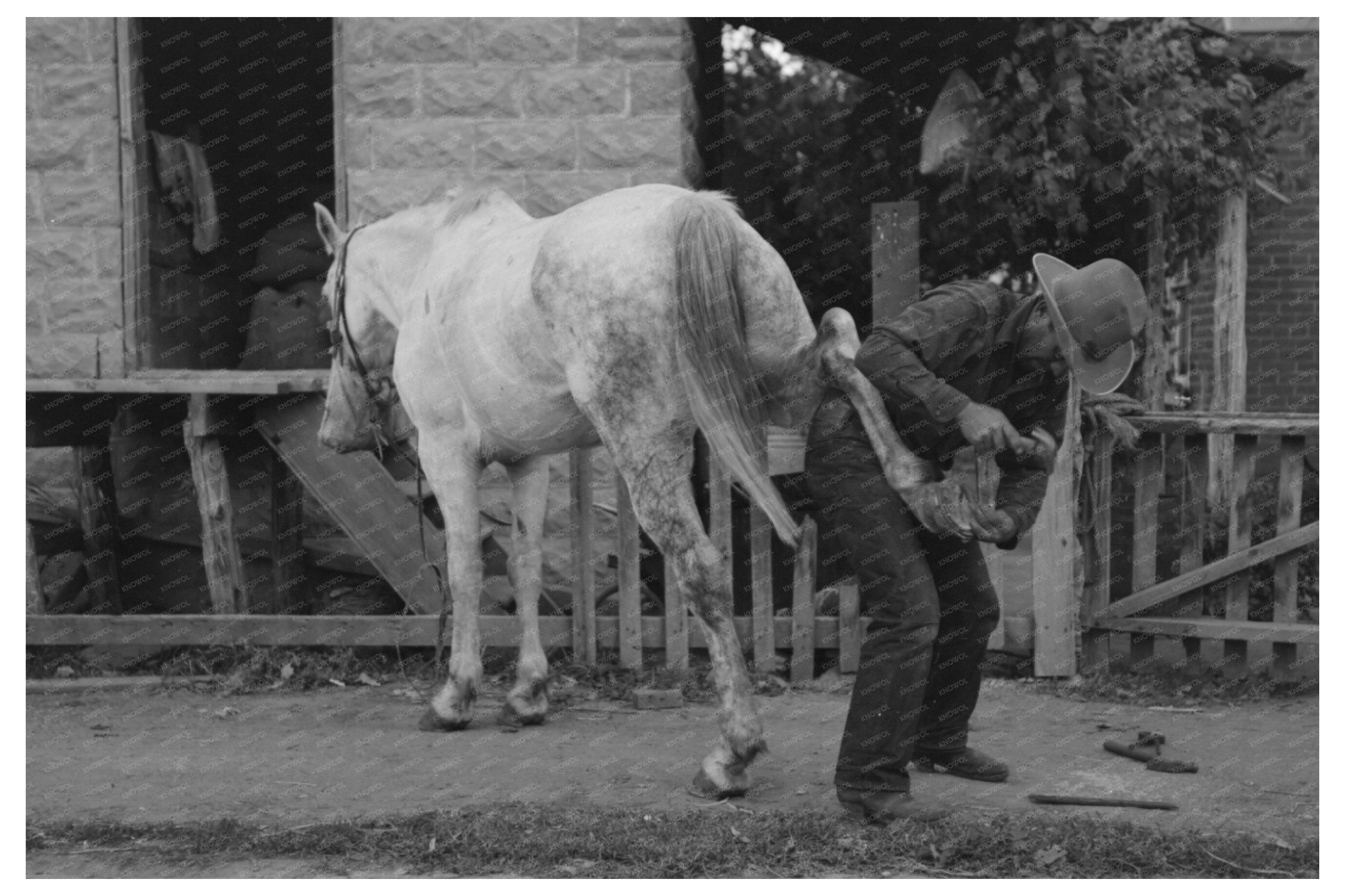 Mormon Farmer Shoe Horse Santa Clara Utah 1940