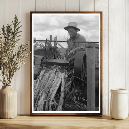 Mormon Farmer Juicing Cane in Utah September 1940