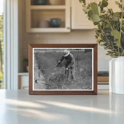 Farmer Cutting Weeds at FSA Camp Caldwell Idaho 1941