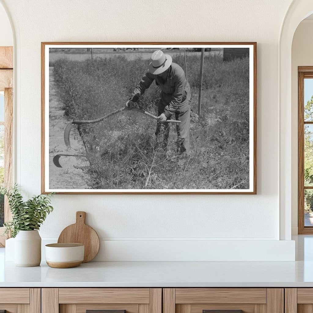 Farmer Cutting Weeds at FSA Camp Caldwell Idaho 1941