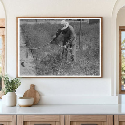 Farmer Cutting Weeds at FSA Camp Caldwell Idaho 1941